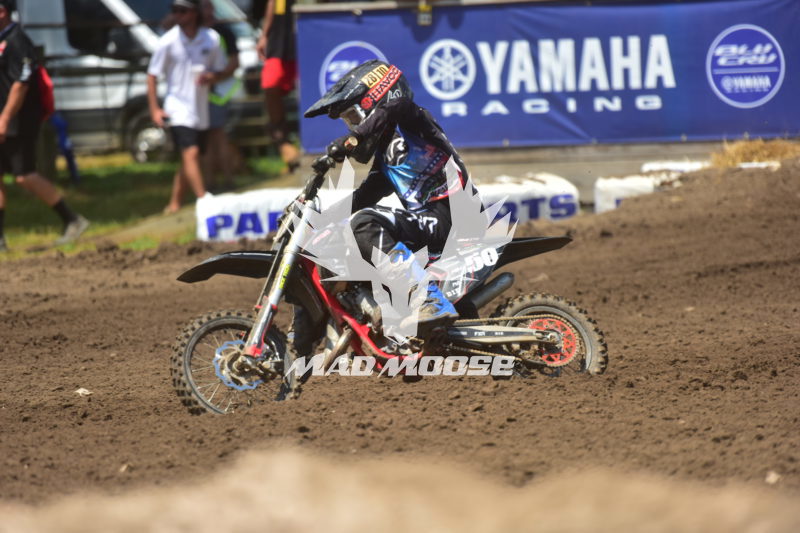 wcvs28 (744).JPG