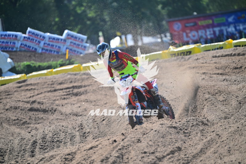 wvcpro250 (73).JPG