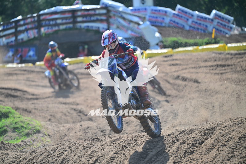 wvcpro250 (55).JPG