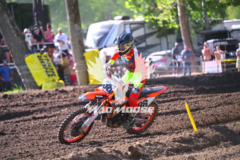 wvcpro250 (242).JPG