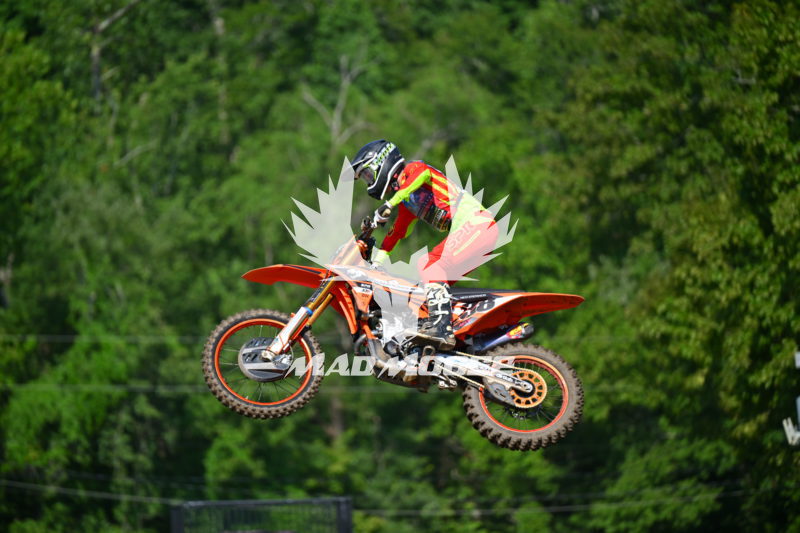 wvcpro250 (297).JPG