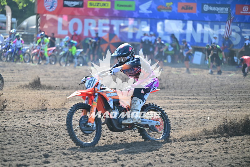 wvcpro250 (6).JPG