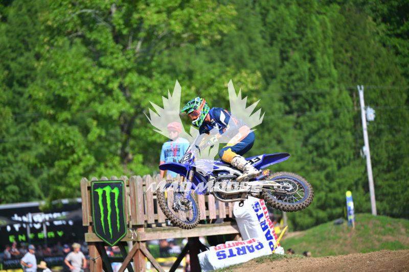 wvcpro250 (318).JPG