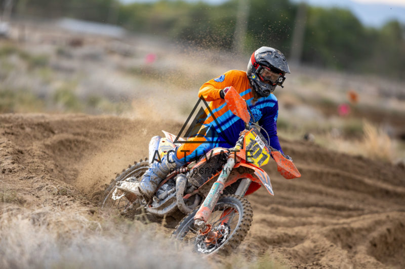 Rabbit-Run-Sun-1015.jpg