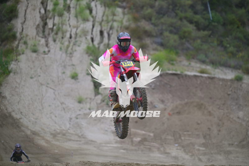 TROYLEE (69).JPG