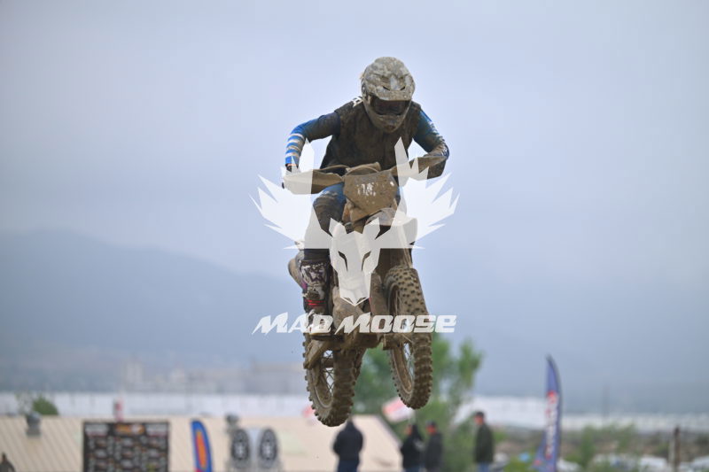 JMF1 (26).JPG