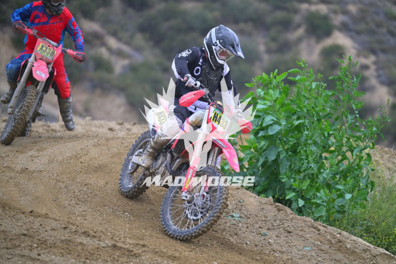 TROYLEE (400).JPG