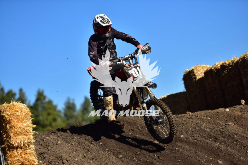JSR8 (81).JPG